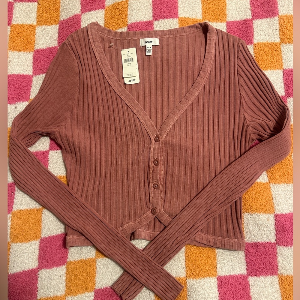 Aerie Ribbed Long Sleeve Top in Rust